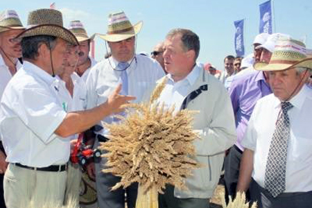 Сибирские фермеры и документалисты получили президентские гранты Сибирские фермеры и документалисты получили президентские гранты