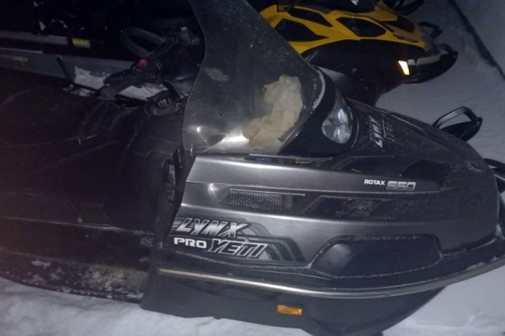 Госинспектор минприроды попался на незаконной охоте под Новосибирском