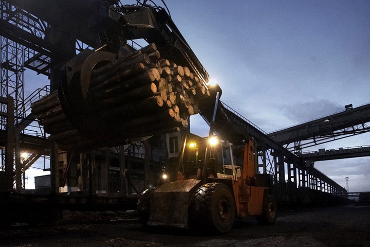 «Илим» уличили в причинении вреда природе