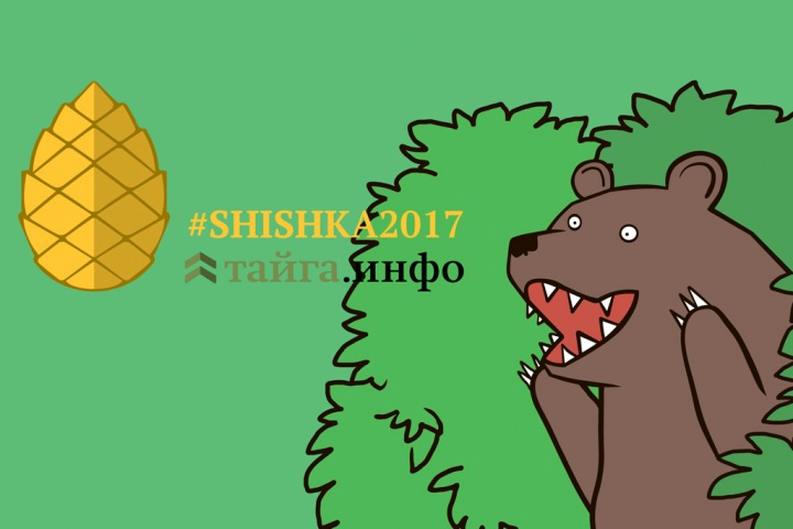 Тайга.инфо раздаст «Шишки» сибирским политикам и бизнесменам