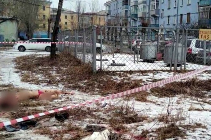 ТВК: красноярские «жертвы» собак были раздеты
