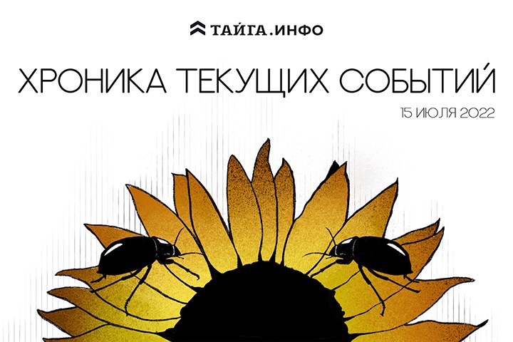 Хроника текущих событий. Экономика, общество, политика. Выпуск 133