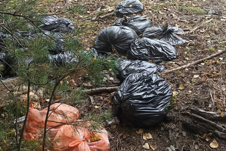 «То ли животные там, то ли люди»: новосибирский депутат рассказала о мешках с «рачлененкой»