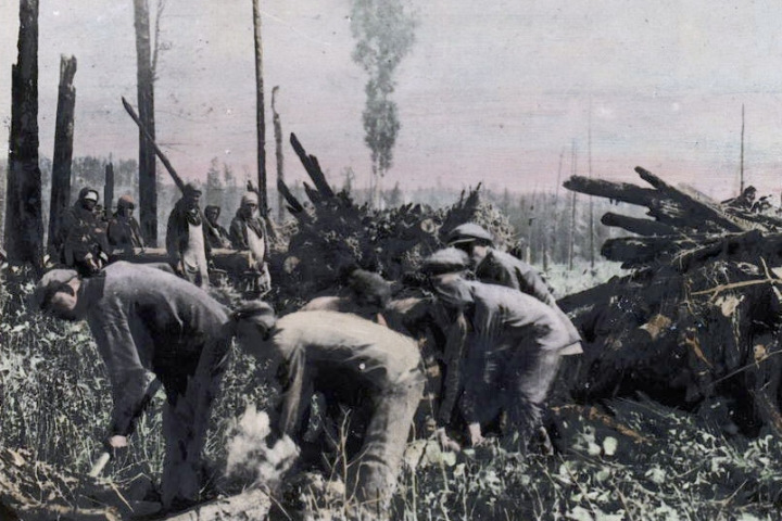 «Власть воспринимала население как расходный материал»: Новосибирск, Ложок и Нарым на карте большого террора «Власть воспринимала население как расходный материал»: Новосибирск, Ложок и Нарым на карте большого террора