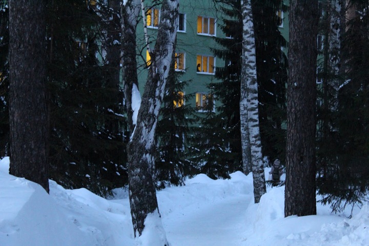 Москвичи банкротят застройщика из новосибирского Академгородка Москвичи банкротят застройщика из новосибирского Академгородка