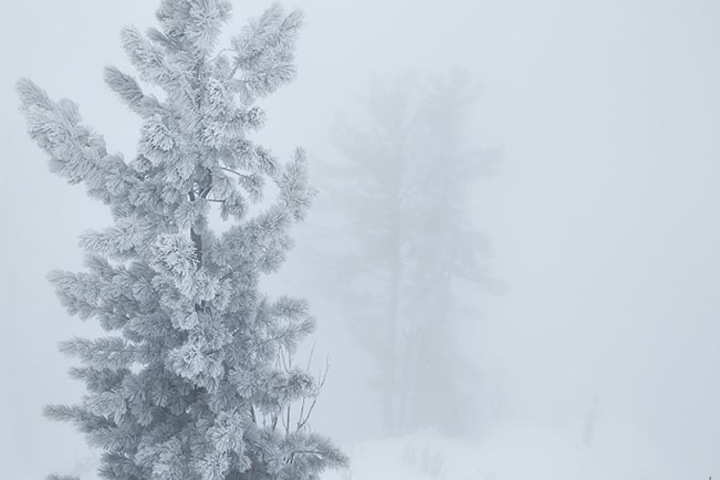 49-градусные морозы идут в Западную Сибирь