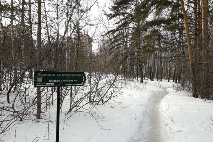 Федеральные власти забирают общежития и лес у новосибирского Академгородка