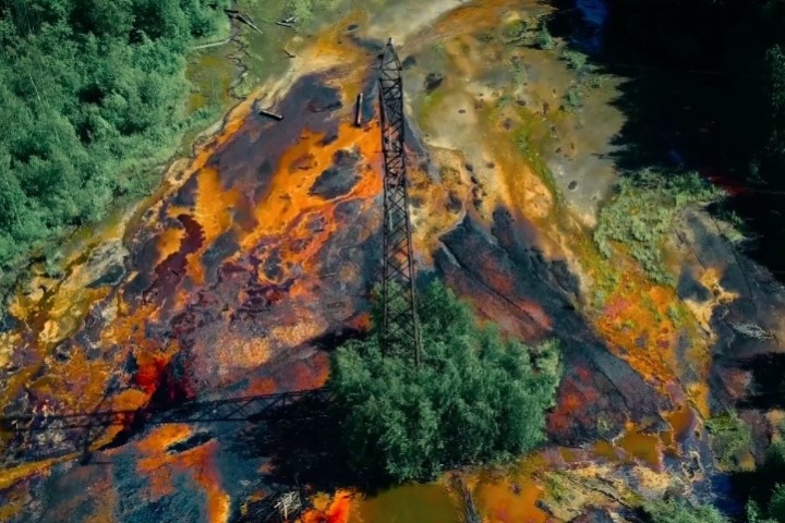 NEMOSKVA покажет российское современное искусство в Новосибирске