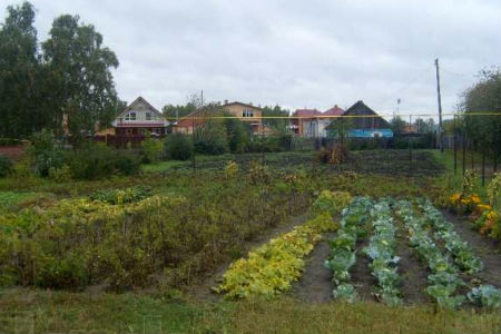 Омская мэрия подозревается в незаконной продаже земли под огороды на 25 млн рублей Омская мэрия подозревается в незаконной продаже земли под огороды на 25 млн рублей