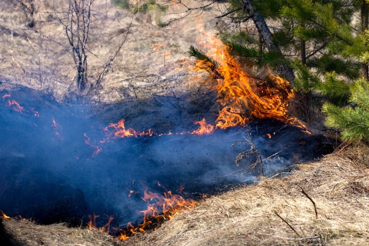 Степные палы перешли на постройки в Новосибирской области Степные палы перешли на постройки в Новосибирской области