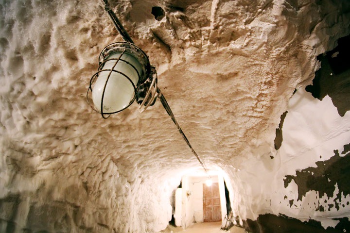 Генетики расшифровали самую древнюю РНК из печени щенка. Он пролежал 14 тыс. лет в вечной мерзлоте Сибири Генетики расшифровали самую древнюю РНК из печени щенка. Он пролежал 14 тыс. лет в вечной мерзлоте Сибири