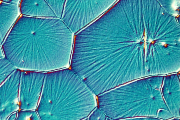 Микролазеры для компьютеров будущего разработали во Владивостоке Микролазеры для компьютеров будущего разработали во Владивостоке