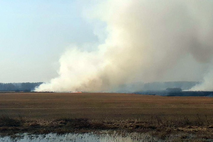 Степные палы охватили Новосибирскую область Степные палы охватили Новосибирскую область