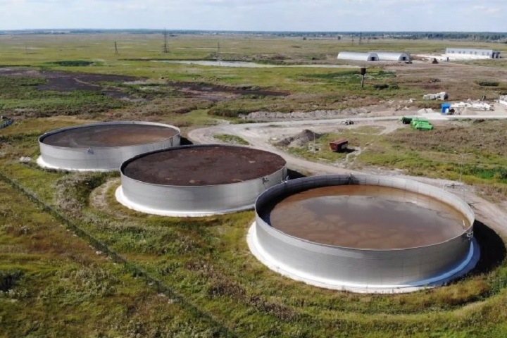 Владельцев незаконных «коровников» возле новосибирского аэропорта оштрафовали