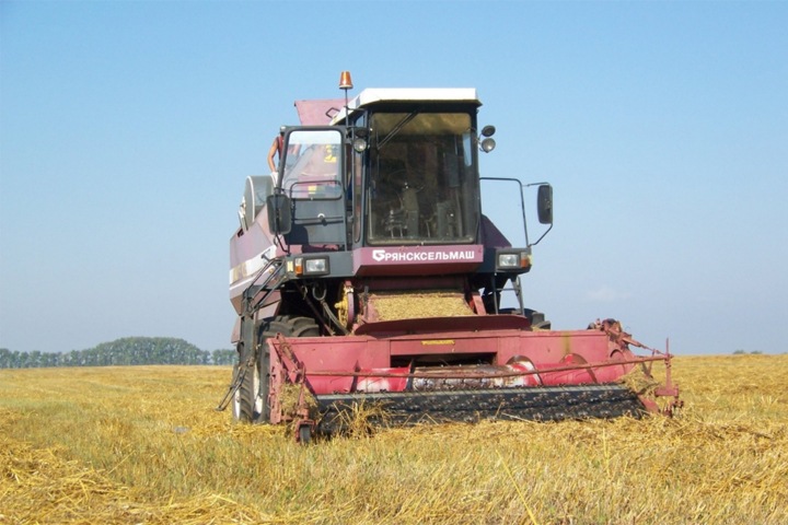 Алтайские депутаты поддержат новосибирских в возмущении «катастрофой» в АПК