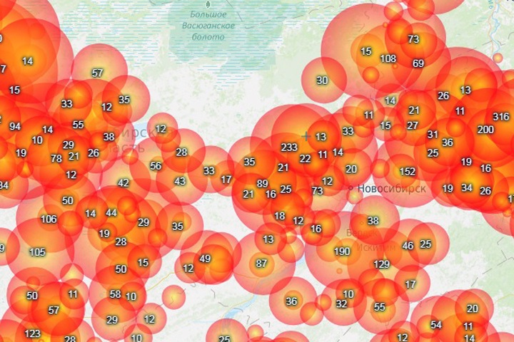 Огонь охватил дачи под Новосибирском Огонь охватил дачи под Новосибирском