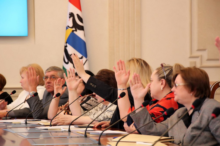 Не мытьем, так катаньем: Алексей Мазур о выборах в Общественной палате