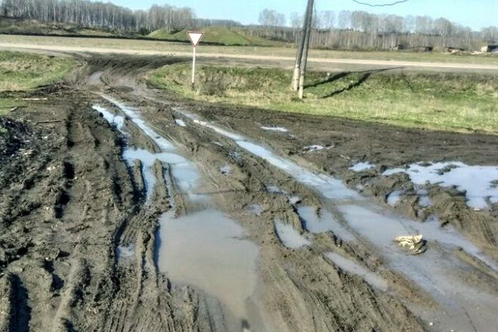 Жители Черепановского района пожаловались на ужасную дорогу