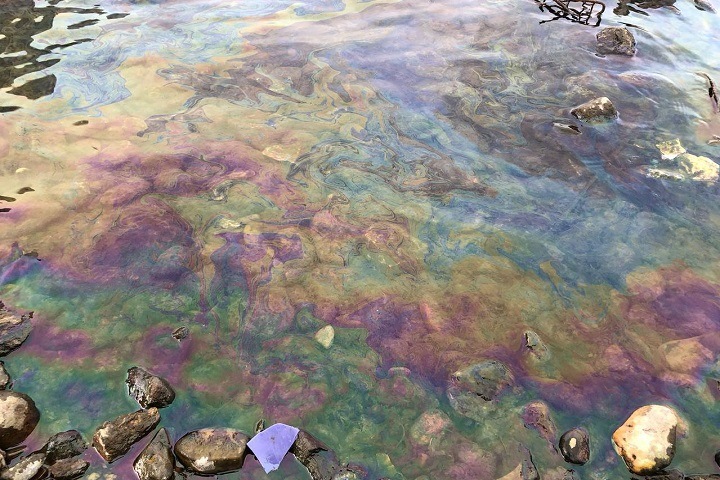 Прокуратура проверяет загрязнение Енисея в Красноярске