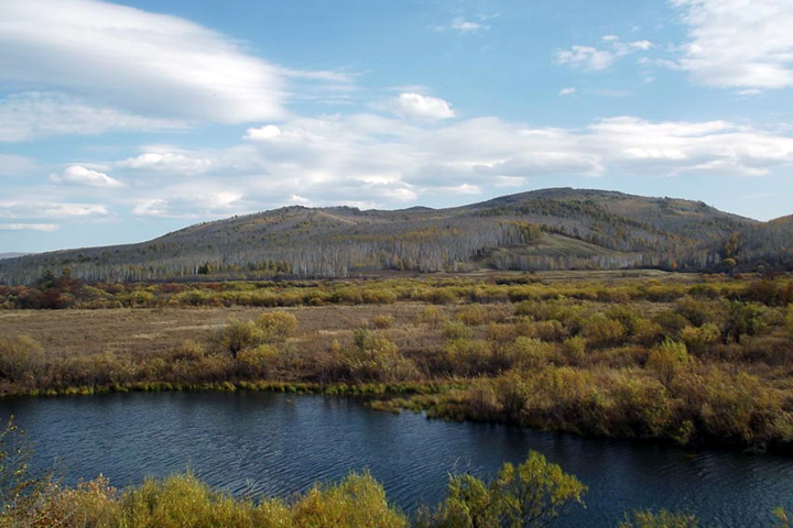 Генпрокуратура проверит законность передачи китайцам части Забайкалья Генпрокуратура проверит законность передачи китайцам части Забайкалья