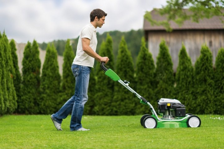 Правила при выборе газонокосилки