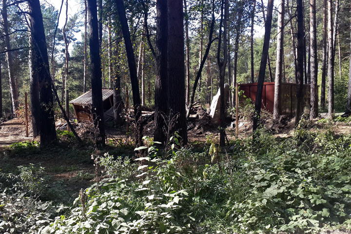 Мэр пообещал остановить стройку элитного коттеджного поселка в Заельцовском бору