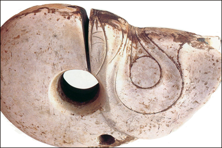 Новосибирский ученый обнаружил культ личинок насекомых у первобытных людей