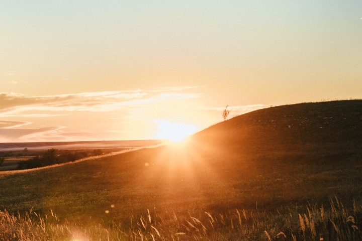 Потепление до +22 пообещали новосибирцам