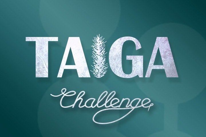 Иностранные абитуриенты смогут учиться в СФУ бесплатно