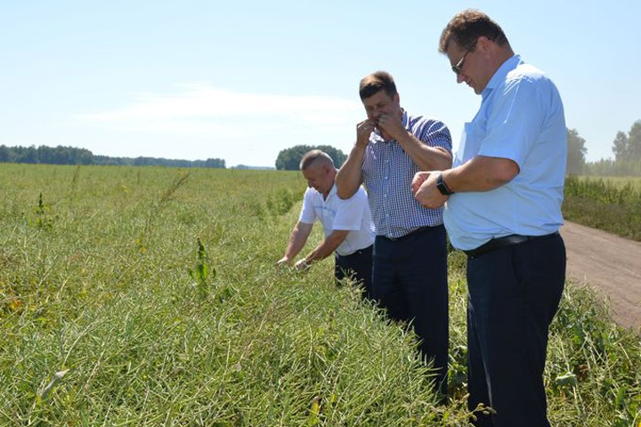 Обвиняемого в коррупции экс-главу Искитимского района выпустили из-под ареста