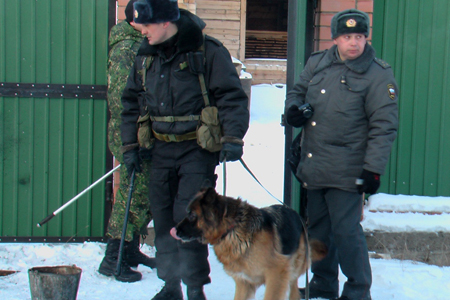Забайкальский предприниматель подорвался на бомбе, замаскированной под полено Забайкальский предприниматель подорвался на бомбе, замаскированной под полено