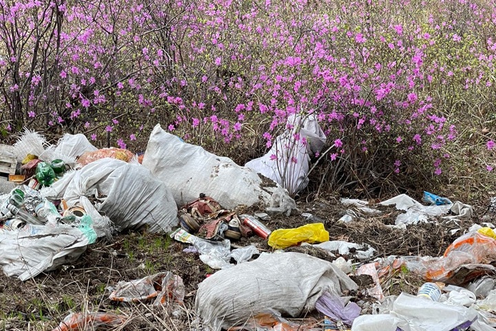 Лидер бурятского «Яблока» предложила изменить гимн региона, поскольку республика «превращается в помойку»