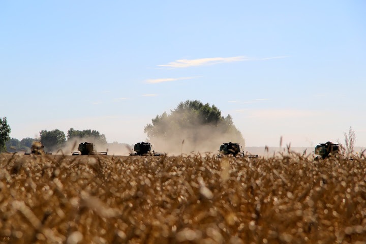 Нелегальный экспорт новосибирского зерна в Казахстан оценили в 100 тыс тонн Нелегальный экспорт новосибирского зерна в Казахстан оценили в 100 тыс тонн