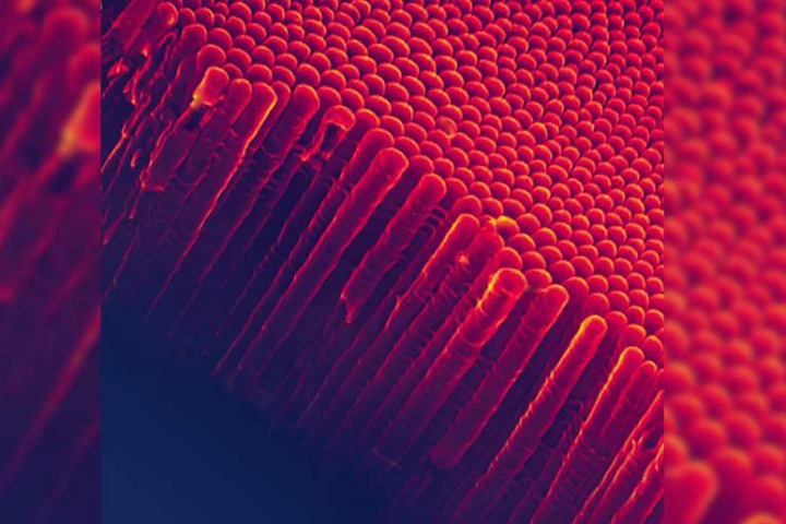 Российские ученые создали самые эффективные нанотрубки для очистки воздуха Российские ученые создали самые эффективные нанотрубки для очистки воздуха