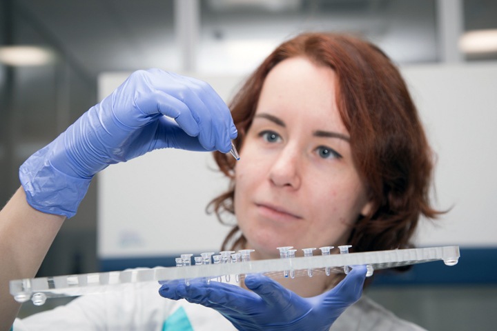 Сибирское растение поможет вылечить инфекции костей Сибирское растение поможет вылечить инфекции костей