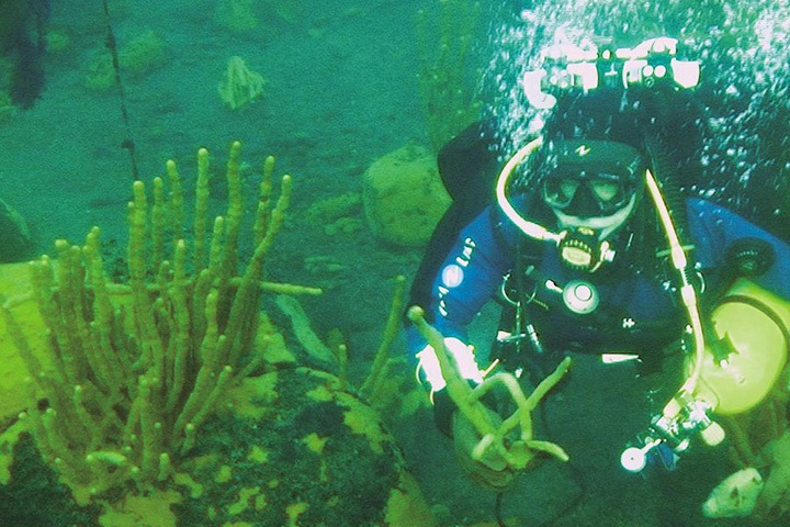 Байкальские губки полностью исчезли в районе Листвянки 