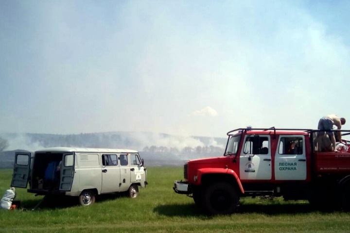 Площадь пожаров в Сибири выросла до 1,3 млн га. Их не тушат: «Нужно экономить средства»