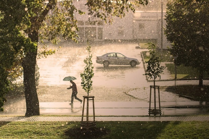 Грозы и +32: что ждет новосибирцев в начале рабочей недели Грозы и +32: что ждет новосибирцев в начале рабочей недели