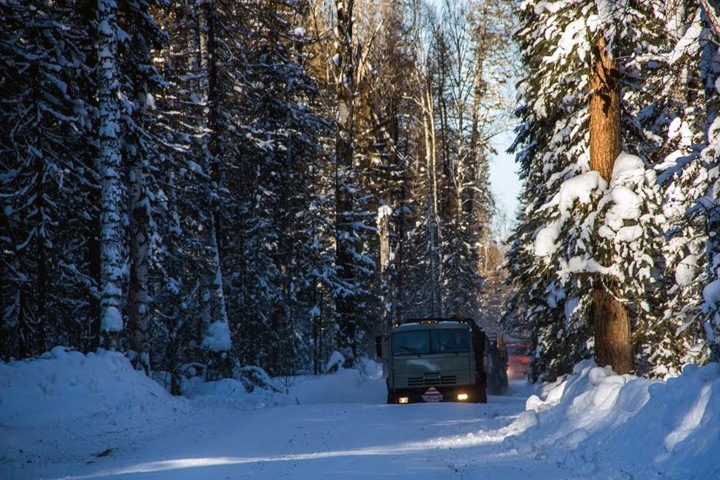 Красноярский лес достанется компании олигарха Евтушенкова