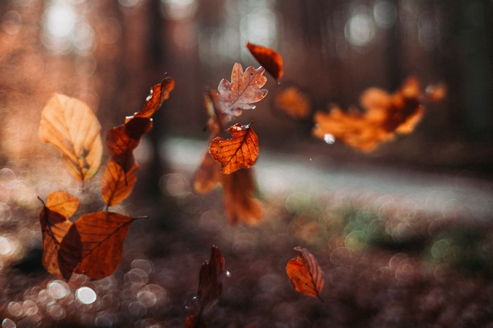 Минусовую температуру обещают новосибирцам Минусовую температуру обещают новосибирцам