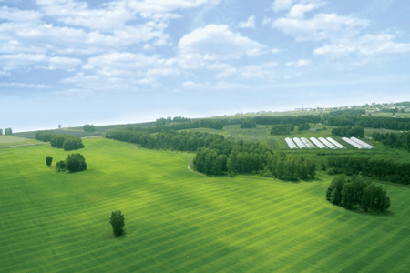 Решение земельного вопроса в Новосибирской области: предварительные итоги Решение земельного вопроса в Новосибирской области: предварительные итоги