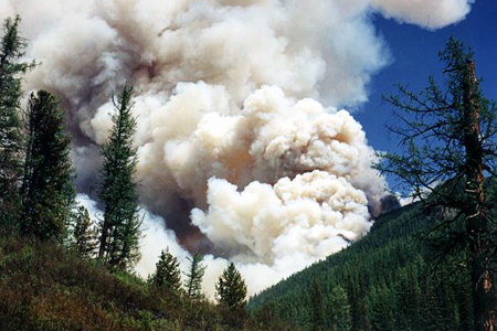 Сибирский полпред заявил о высоком уровне пожароопасности Сибирский полпред заявил о высоком уровне пожароопасности