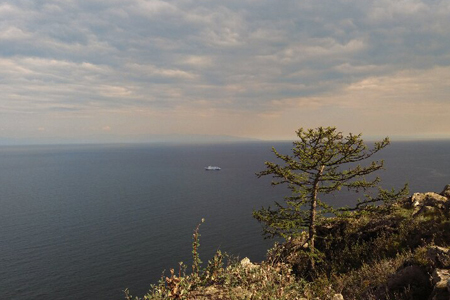Вячеслав Никитин: Байкал важнее, чем размер тарифов на экспорт электроэнергии Вячеслав Никитин: Байкал важнее, чем размер тарифов на экспорт электроэнергии