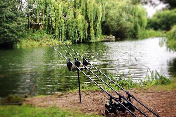 Клуб любителей карпфишинга проведет соревнования с призовым фондом 3 млн рублей