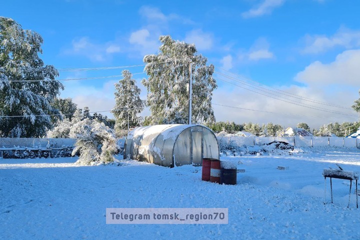 Снег завалил Томскую область в июне Снег завалил Томскую область в июне