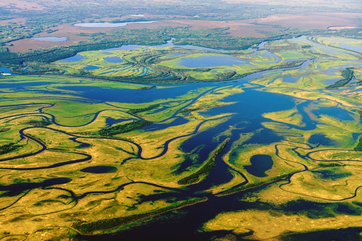 Алтайские противники поправок и детские дома эпохи Большого террора в болотах. Сибирь за неделю Алтайские противники поправок и детские дома эпохи Большого террора в болотах. Сибирь за неделю