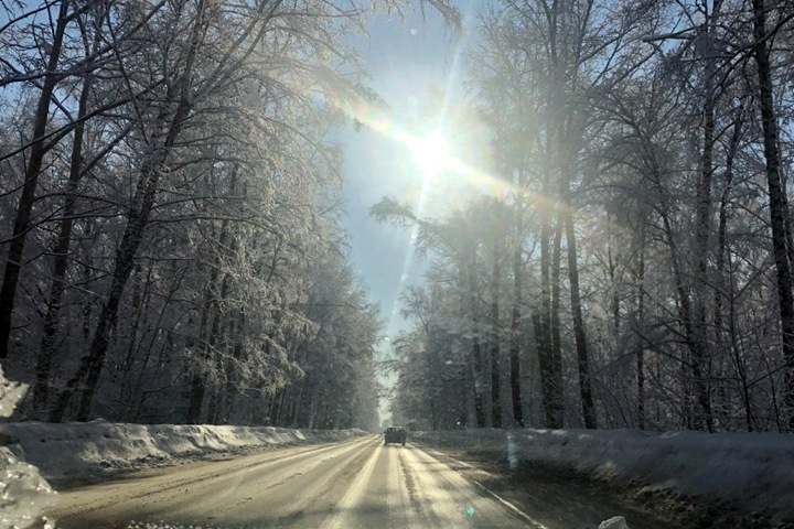Дочь новосибирского депутата получила условное за мошенничество с землей в Заельцовском бору на 45 млн