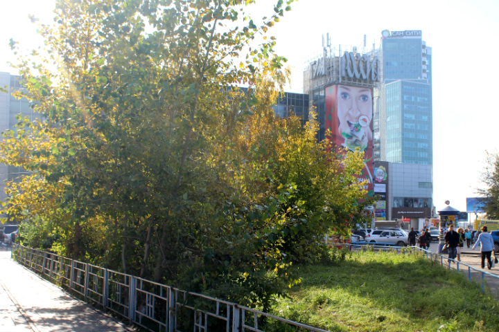 Новосибирский суд признал банкротом компанию Глазычева и Ефименко Новосибирский суд признал банкротом компанию Глазычева и Ефименко