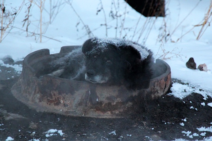 40-градусные морозы идут в Западную Сибирь