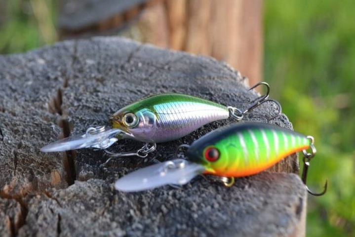 Особенности выбора воблера на щуку Особенности выбора воблера на щуку